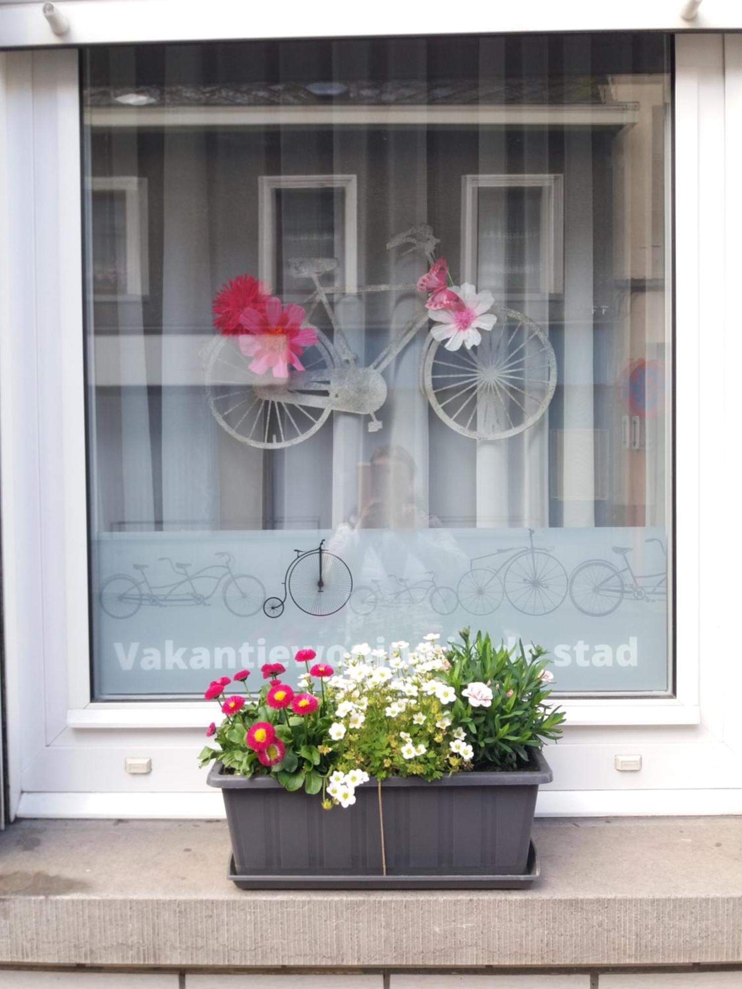 Velocipede Oudenaarde Vakantieverblijf 6 Pers (Adults Only) Exterior photo